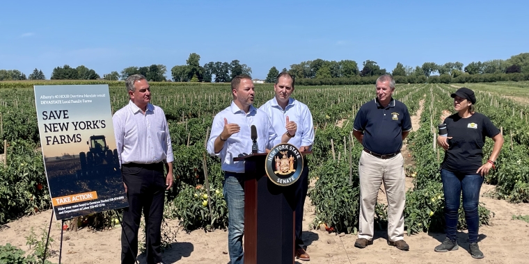 (From L to R: Senator George Borrello, Senate Republican Leader Rob Ortt, Assemblyman Mike Norris, Representative for Assemblyman Steve Hawley, and Niagara County Farm Bureau President Jeanette Miller)