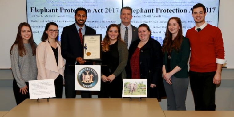 Pace Students Worked Closely With Murphy and Paulin to Protect Performing Elephants