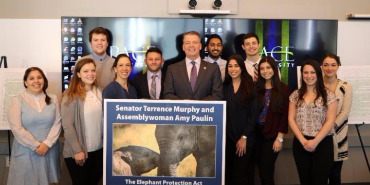 Historic Bill was Inspired by Pace University Students