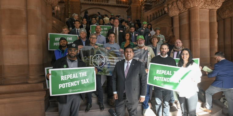 Senator Cooney (Center) Poses with Cannabis Advocates at New York State Capitol