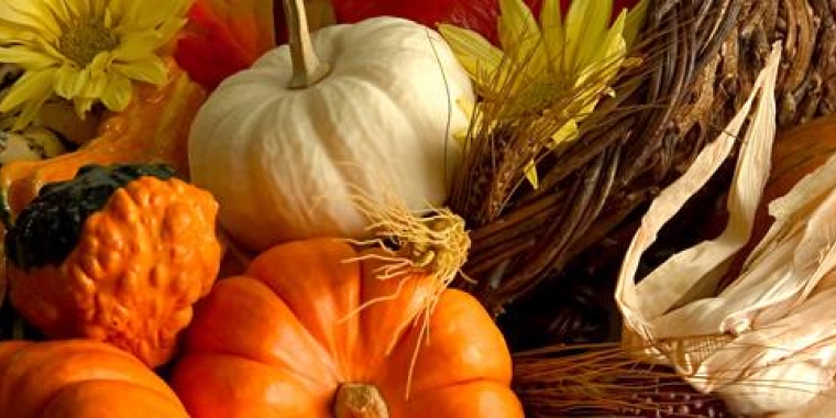 Happy Thanksgiving all across the Southern Tier and Finger Lakes regions.