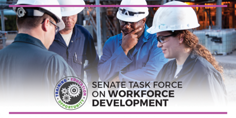 The Senate Task Force on Workforce Development has issued its preliminary report.