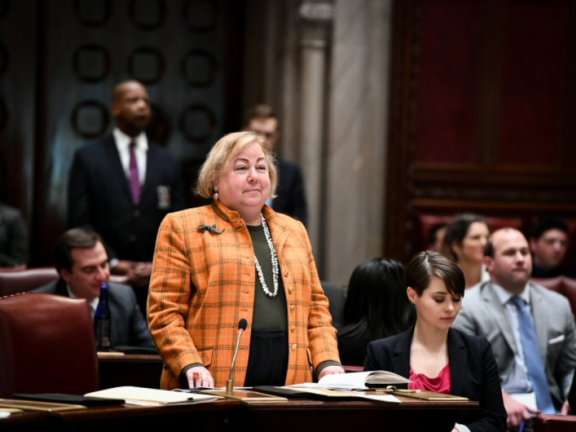 NYS Senator Liz Krueger, 28th Senate District